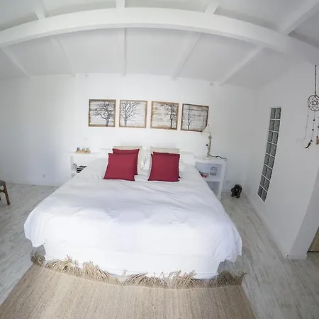 O Moinho Da Roca Azoia (Sintra)